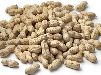 Heap of shelled peanuts